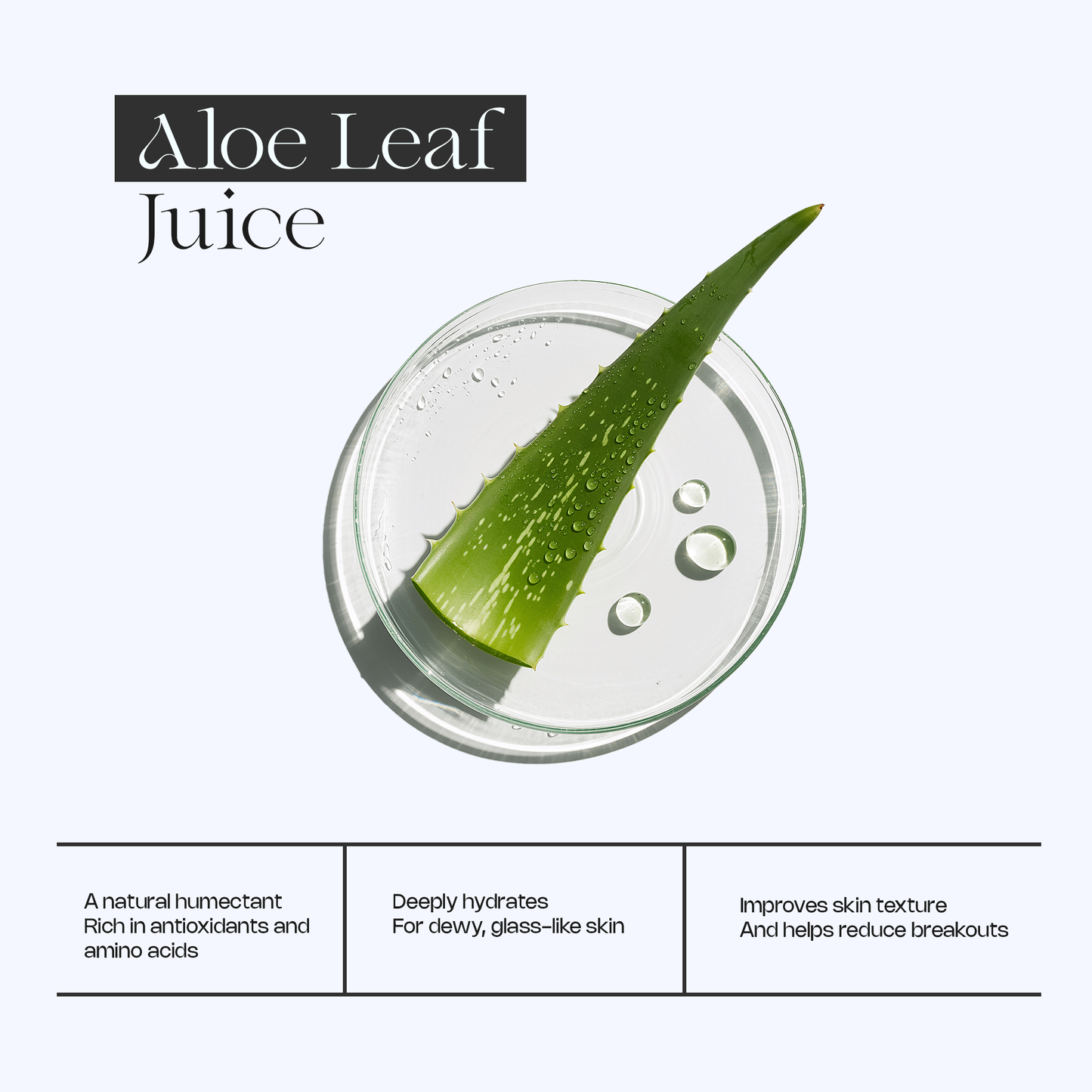 Clean & Hydrate Face Duo